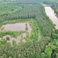 180 Acres Land for Sale on the Pearl River Monticello MS images 1