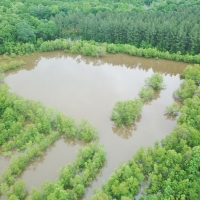 180 Acres Land for Sale on the Pearl River Monticello MS images 2
