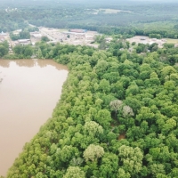 180 Acres Land for Sale on the Pearl River Monticello MS images 3