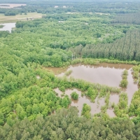 180 Acres Land for Sale on the Pearl River Monticello MS images 4