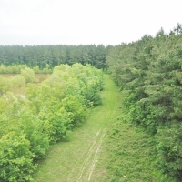 180 Acres Land for Sale on the Pearl River Monticello MS images 5