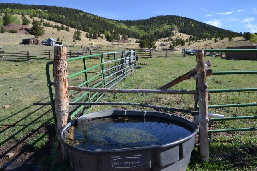 Call of the Elk Ranch featured image