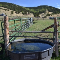 Call of the Elk Ranch