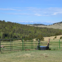 Call of the Elk Ranch images 2