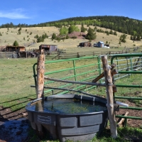 Call of the Elk Ranch images 4