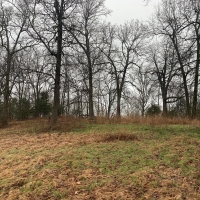 ACREAGE FOR SALE IN ASH FLAT ARKANSAS images 4