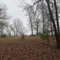 ACREAGE FOR SALE IN ASH FLAT ARKANSAS images 2