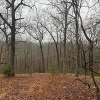 ACREAGE FOR SALE IN ASH FLAT ARKANSAS images 5