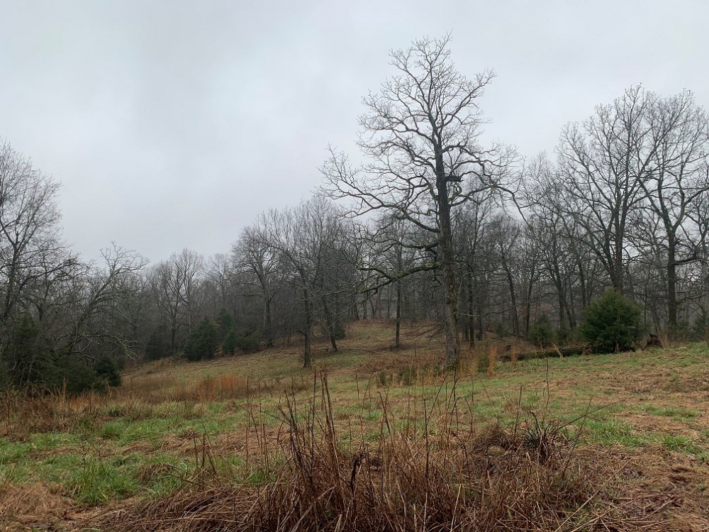 ACREAGE FOR SALE IN ASH FLAT ARKANSAS featured image
