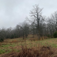 ACREAGE FOR SALE IN ASH FLAT ARKANSAS