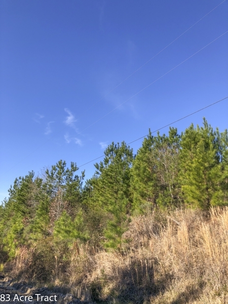 83 Ac FM 2912 featured image