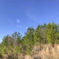 83 Ac FM 2912
