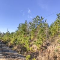 83 Ac FM 2912 images 2