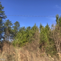 83 Ac FM 2912 images 4