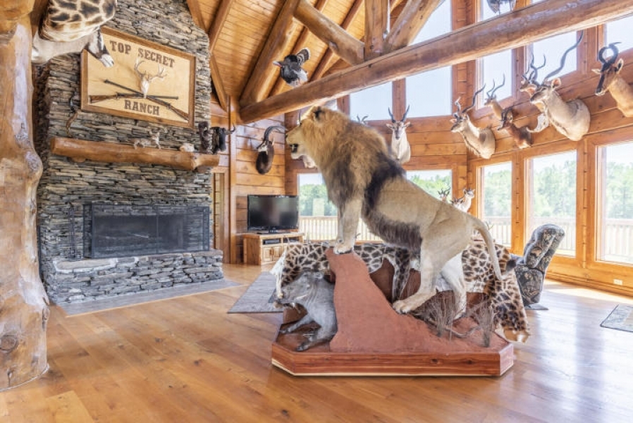 High Fence Hunting Ranch with Log Lodge featured image