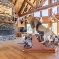 High Fence Hunting Ranch with Log Lodge