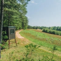 High Fence Hunting Ranch with Log Lodge images 5