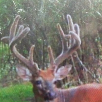 MS - Jefferson Southside Land Co. 2 of 24 Shares in 4200 ac - images 4
