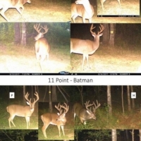 MS - Jefferson Southside Land Co. 2 of 24 Shares in 4200 ac - images 5