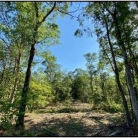 36 Acres in Simpson County in Mendenhall MS images 2