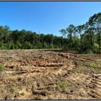 36 Acres in Simpson County in Mendenhall MS images 6