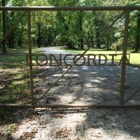 One Equity Share of Concordia Rod and Gun Club in Bolivar County images 2