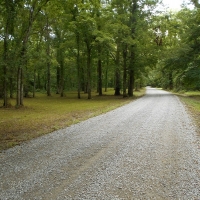 One Equity Share of Concordia Rod and Gun Club in Bolivar County images 3