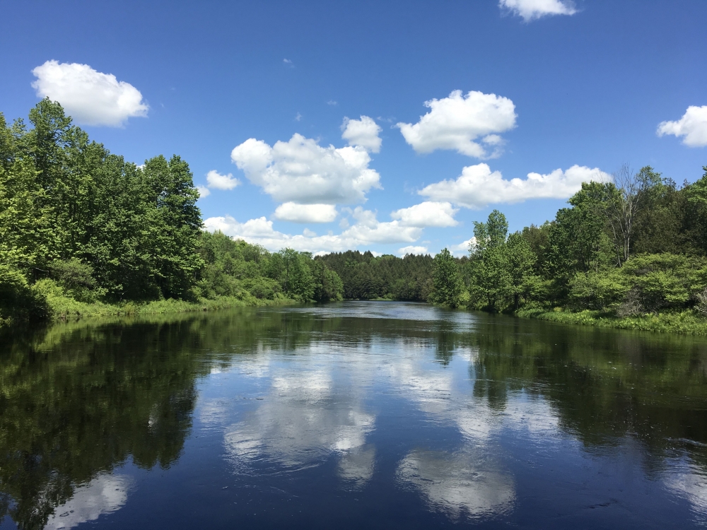 450 Acres Riverfront With Private Pond Russell NY featured image