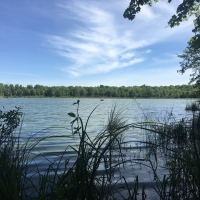 450 Acres Riverfront With Private Pond Russell NY images 3