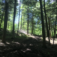450 Acres Riverfront With Private Pond Russell NY images 2