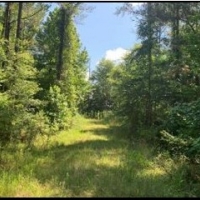 500 Acres in Adams County in Roxie MS