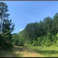 500 Acres in Adams County in Roxie MS images 4