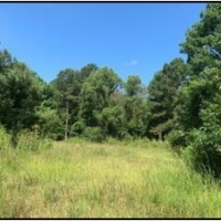 500 Acres in Adams County in Roxie MS images 6