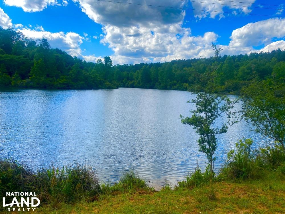Valley Creek Hunting And Timber Investment featured image