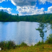Valley Creek Hunting And Timber Investment