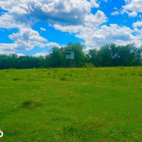 Valley Creek Hunting And Timber Investment images 4