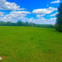 Valley Creek Hunting And Timber Investment images 2