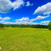 Valley Creek Hunting And Timber Investment images 6