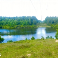 Valley Creek Hunting And Timber Investment images 3