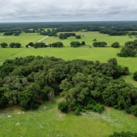 Sumter County Ranch Recreation images 2