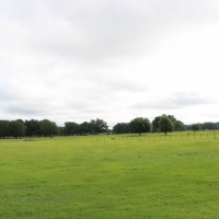 Sumter County Ranch Recreation images 6