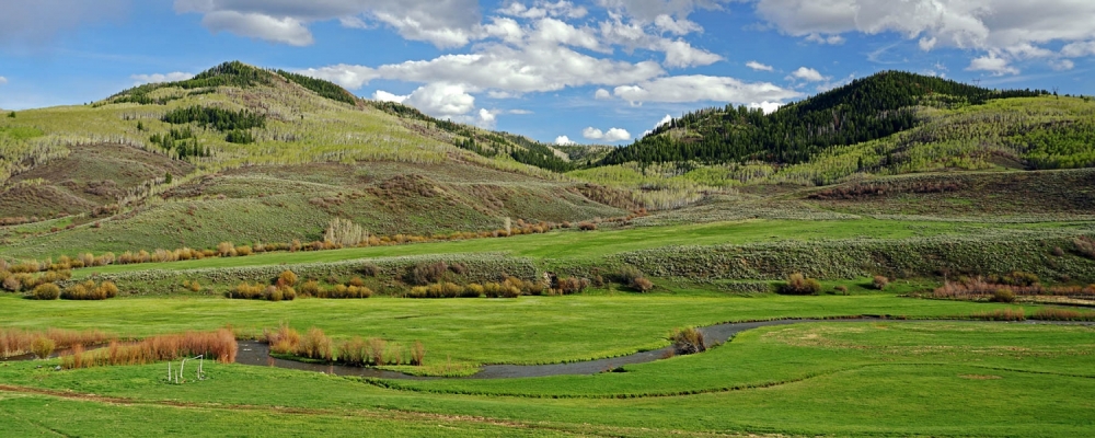 Stetson Ranch featured image