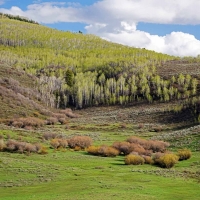 Stetson Ranch images 6