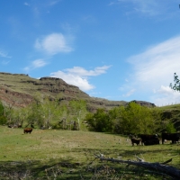 Brown Canyon Imnaha Ranch