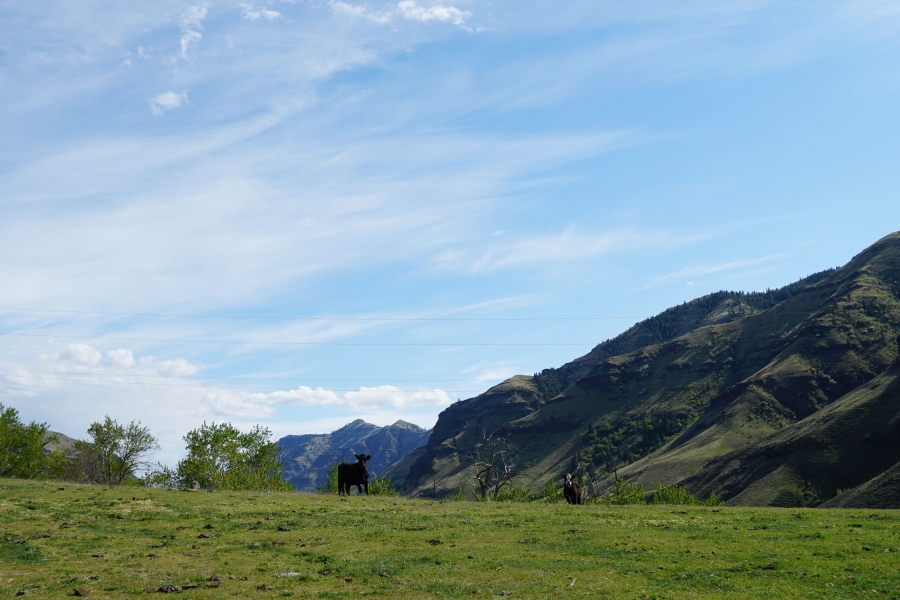 Brown Canyon Imnaha Ranch Hunting Land for Sale