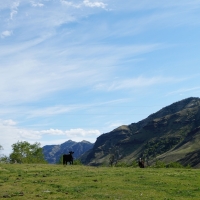 Brown Canyon Imnaha Ranch images 2