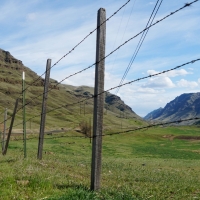 Brown Canyon Imnaha Ranch images 3