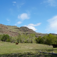Brown Canyon Imnaha Ranch images 6