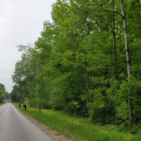 25 acre Forest Land Pulaski NY images 6
