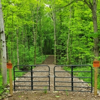 25 acre Forest Land Pulaski NY images 3
